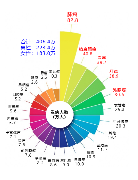 面對“男女有別”的癌癥，不同性別如何針對性預(yù)防？ | 內(nèi)附男女癌癥篩查推薦時間表