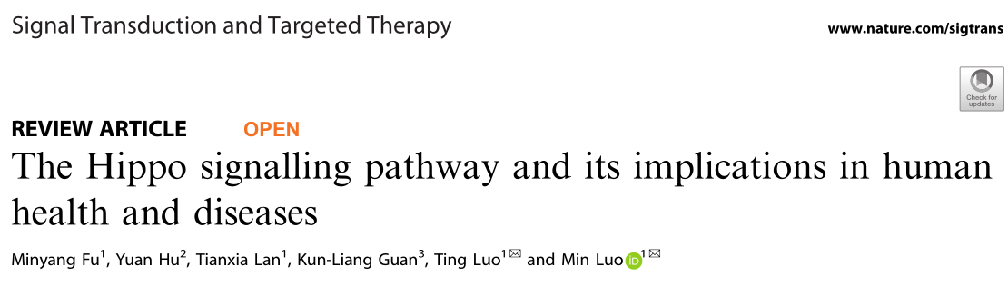 Signal Transduction and Targeted Therapy: Hippo信號(hào)通路及其在人類健康和疾病中的意義