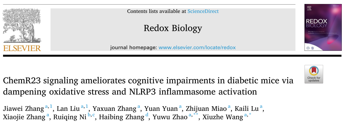 Redox Biology : ChemR23信號(hào)可以改善糖尿病小鼠的認(rèn)知功能障礙
