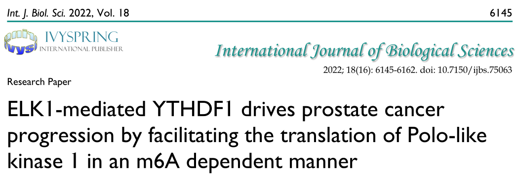 Int. J. Biol. Sci: ELK1/YTHDF1/PLK1/PI3K/AKT軸可能成為前列腺癌治療的潛在靶點(diǎn)