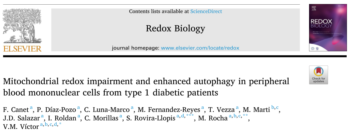 Redox Biology : I型糖尿病損害了線粒體的功能，促進(jìn)了白細(xì)胞的氧化應(yīng)激和自噬
