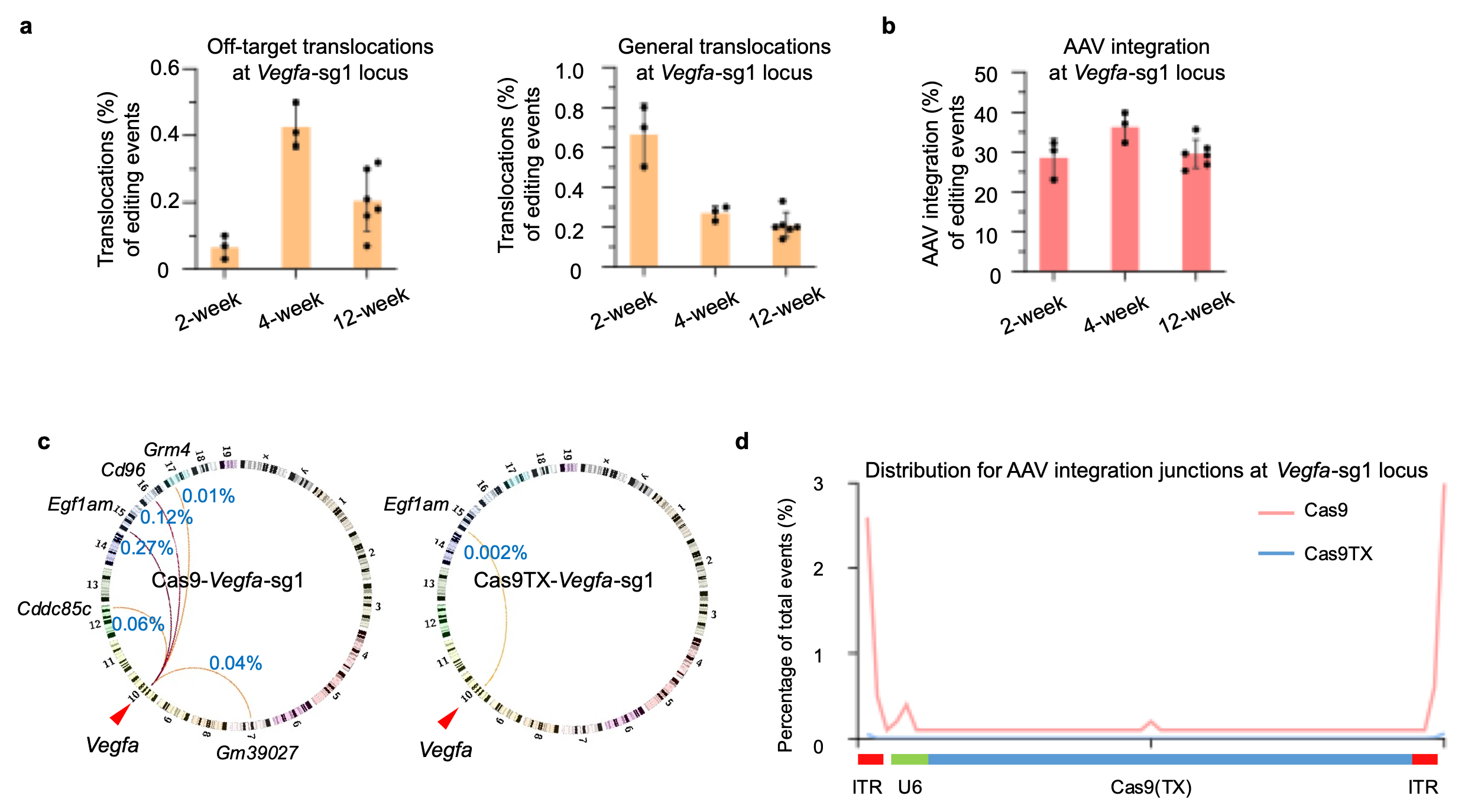 Nature Communications:利用Cas9TX在年齡性黃斑病變小鼠模型中實(shí)現(xiàn)高效且安全的基因編輯